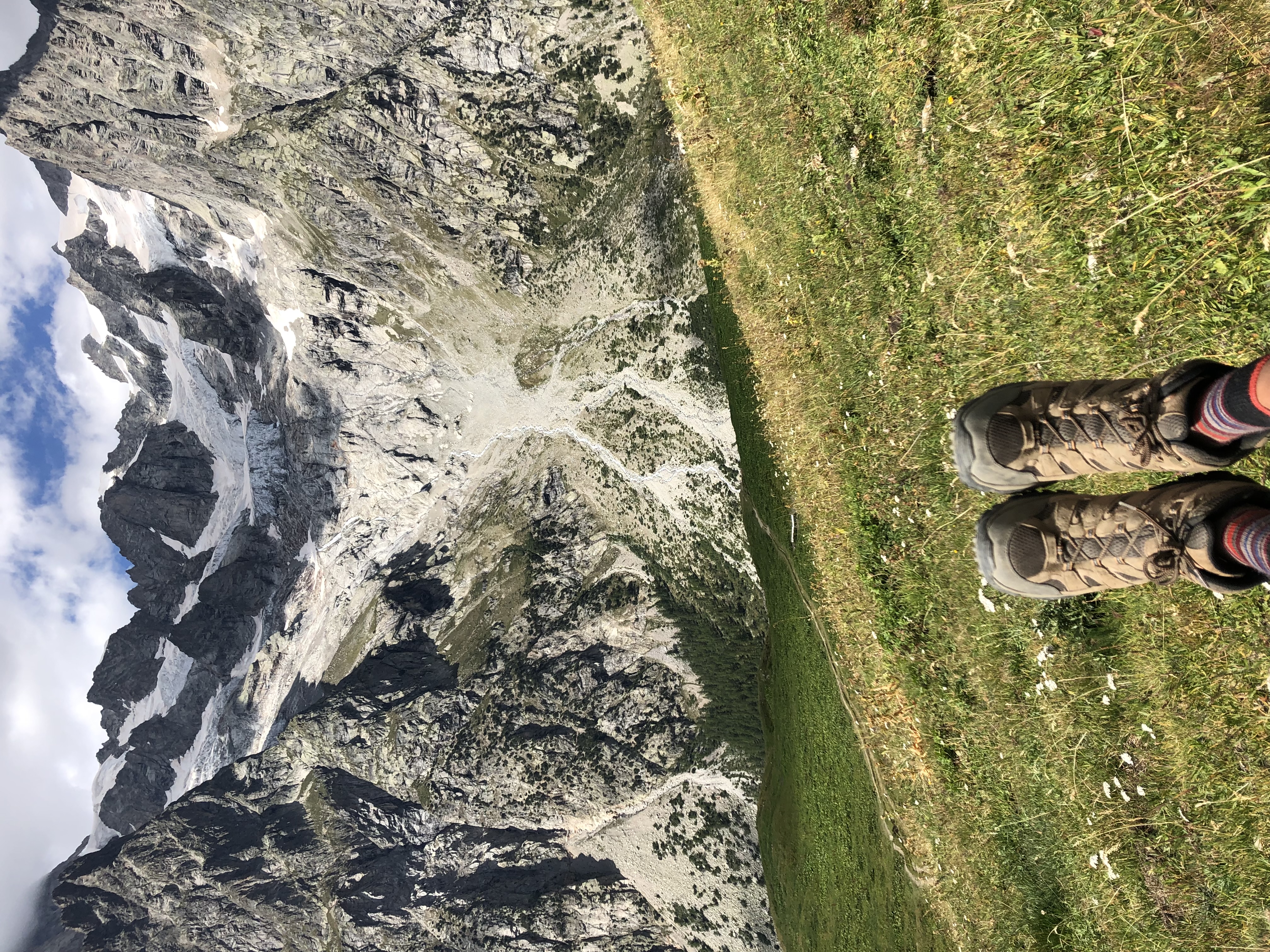 Hiking boots resting with Alpine peaks in the background